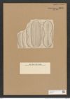 Amphora greundleri Grun. (de-Toni-Nr.: Genus 36, Species 1659) Zeichnungen Sammlung Grunow Nr. 3173 (NHMW-BOT-W0370615)